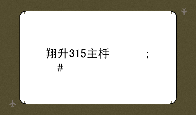 翔升315主板怎么样