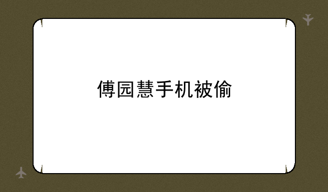 傅园慧手机被偷
