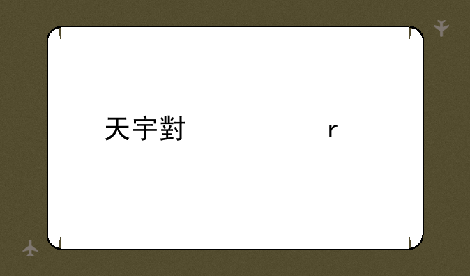 天宇小黄蜂手机
