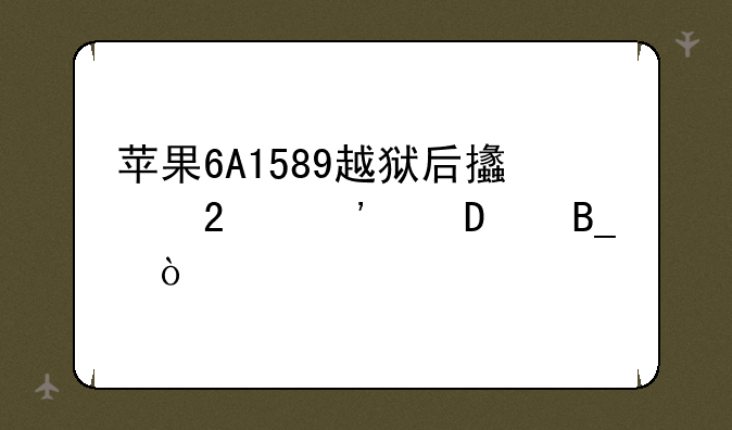 苹果6A1589越狱后支持三网4g吗？