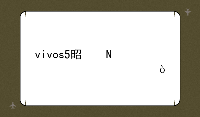 vivos5是哪一年上市？