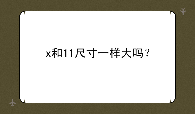 x和11尺寸一样大吗？