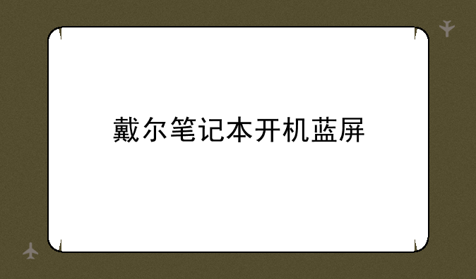 戴尔笔记本开机蓝屏