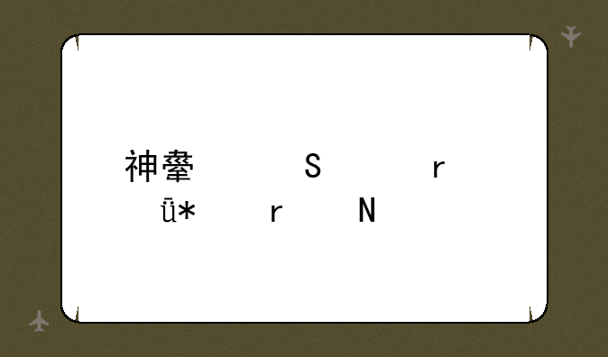 神舟笔记本驱动在哪