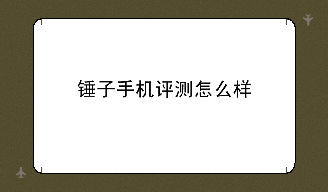锤子手机评测怎么样