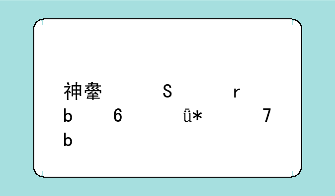 神舟笔记本显卡驱动不显示