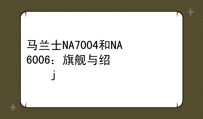 马兰士NA7004和NA6006：旗舰与经典的巅峰对决