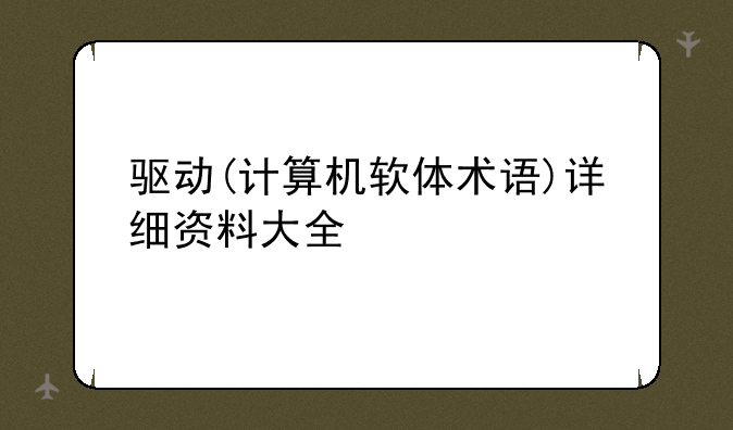 驱动(计算机软体术语)详细资料大全