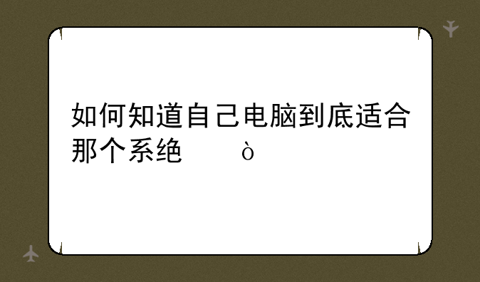 如何知道自己电脑到底适合那个系统？