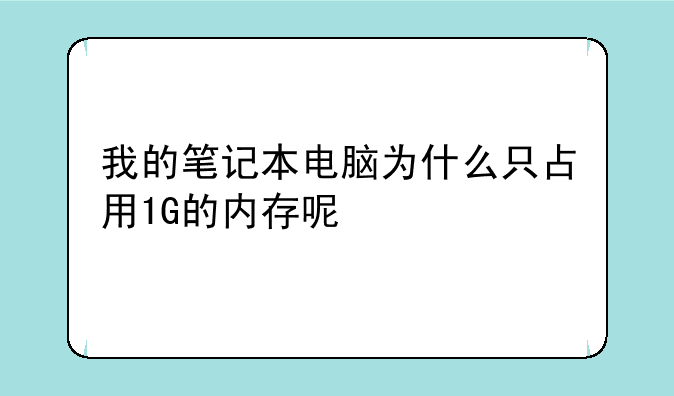 我的笔记本电脑为什么只占用1G的