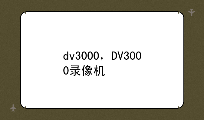dv3000，DV3000录像机