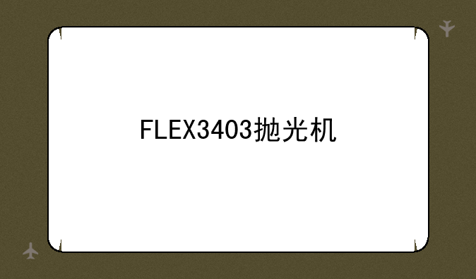 FLEX3403抛光机