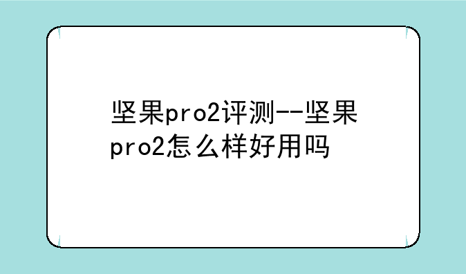坚果pro2评测--坚果pro2怎么样好用吗