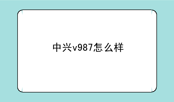 中兴v987怎么样