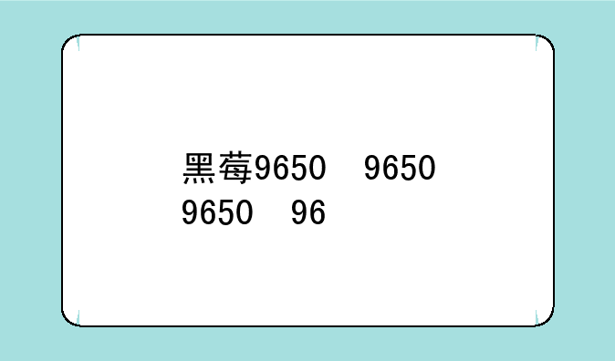 黑莓9650，黑莓9650可以用电信卡吗