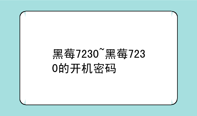 黑莓7230~黑莓7230的开机密码