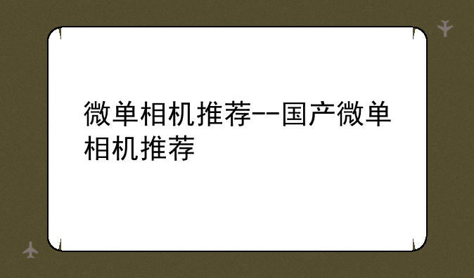 微单相机推荐--国产微单相机推荐