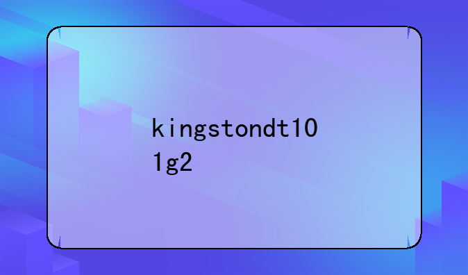 kingstondt101g2